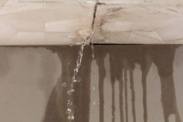 Professional Water Damage Repair technician working in Penrose, NC